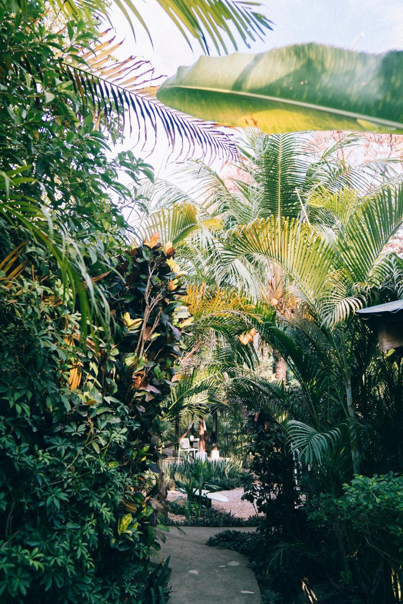 Shaka Costa Rica, Steps From The Beach Hotel Playa Hermosa Cobano ภายนอก รูปภาพ